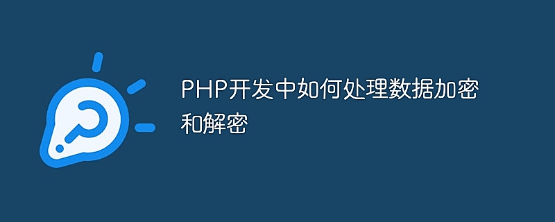 PHP开发中如何处理数据加密和解密