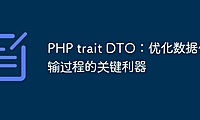 PHP trait DTO：优化数据传输过程的关键利器