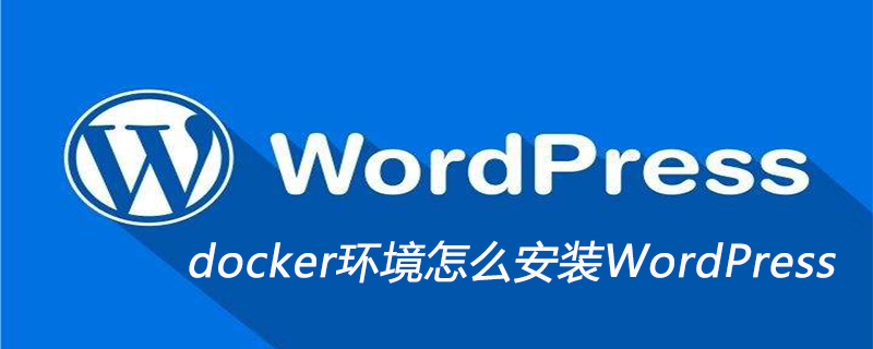 docker环境怎么安装WordPress插图