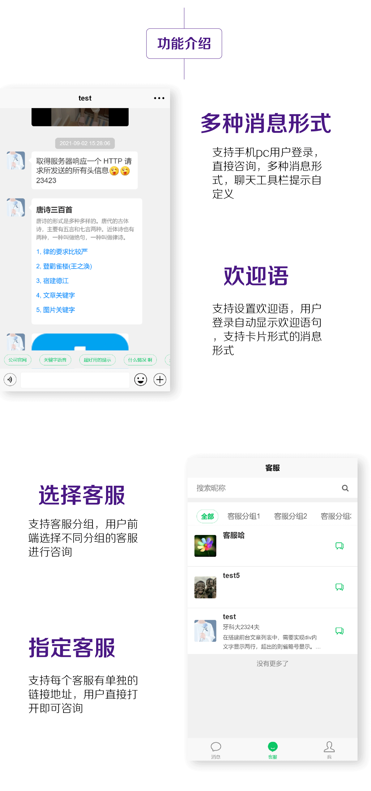 明灯多客服大师系统正版系统出售插图