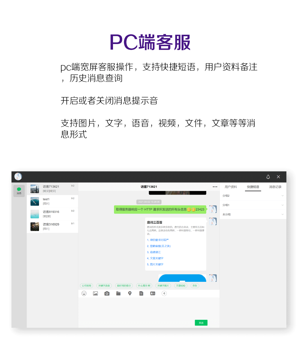 明灯多客服大师系统正版系统出售插图1