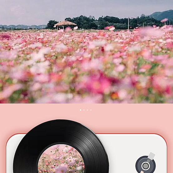 电子贺卡付费电子贺卡系统正版系统源码