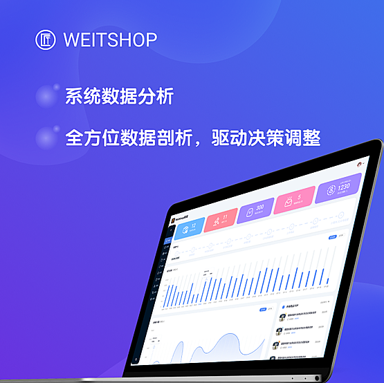 微匠工社交电商系统开源版正版源码出售