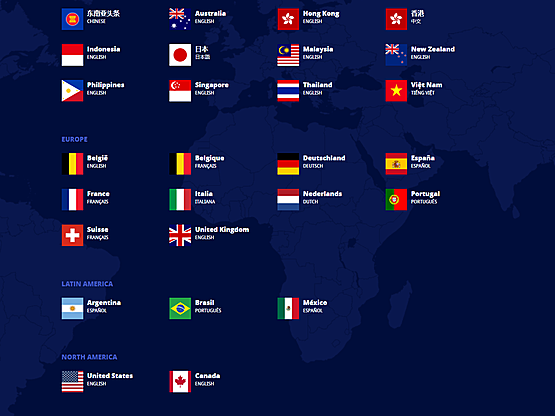 Youcms 跨境分类信息系统多国多语言版 正版系统出售