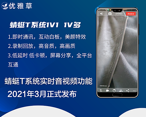 实时音视频系统/1v多音视频/1v1直播/1v1会议/屏幕分享/蜻蜓T系统